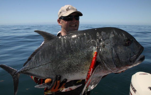 A nice Black Pilbara GT